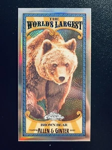 2021 Topps Allen & Ginter Chrome Mini World’s Largest Brown Bear #MWL-20 - Picture 1 of 2
