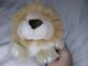 Purr-fection By MJC Leon Lion Collectable Stuffed Animal