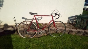 Nishiki International Kawamura - Picture 1 of 15