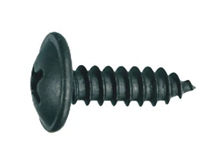 Blechschrauben Bundschrauben Flachkopf Kreuzschlitz schwarz 3,9 - 4,8 mm DIN7981 - Bild 1 von 29