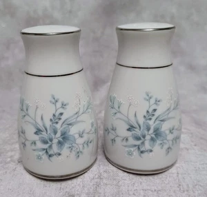 Noritake Carolyn Salt and Pepper Shakers Contemporary Fine China Porcelain 2693 - Picture 1 of 16