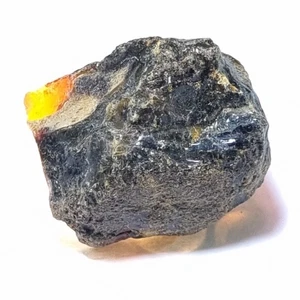 30.40 Carat Natural EGL Certified Baltic Amber Translucent rough Loose Gem - Picture 1 of 4