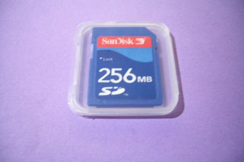 Qty=1 SD CARD SANDISK 256MB With Case ( U.S. Seller ) - Image 1 of 1