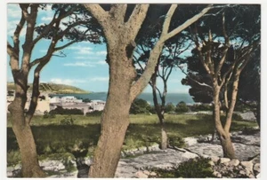 MARINA DI LEUCA - LECCE - PINETA E PANORAMA - REISE 1965 -20007- - Bild 1 von 1