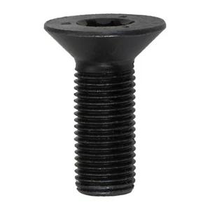 NEW OEM VW Volkswagen Eos Golf Passat Camshaft Adjuster Bolt Genuine 06D109281D - Bild 1 von 4