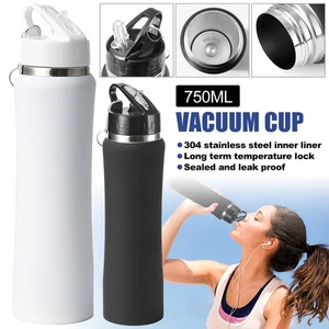 Insulated Water Bottles 750ml Stainless Steel Water Bottle with Straw Leakproof - Picture 1 of 12
