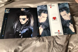DEAD OR ALIVE VINYL BUNDLE. 2x12”s. Spin Me, My Heart Goes. Pete Burns. VGC. RSD - Picture 1 of 5