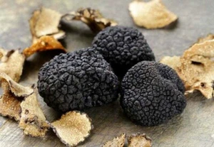 600 g. frische schwarze Trüffel, Tuber Uncinatum. ITALIEN Top 1A Profi. - Bild 1 von 4