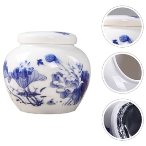 Tarro sellado de porcelana azul y blanco bote de té chino soporte para medicamentos - Imagen 1 de 12