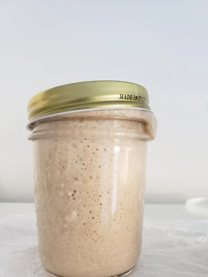 San Francisco SOURDOUGH STARTER WELL OVER 200 YRS OLD VERY STRONG - image 1 of 4