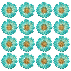 48 Pcs Dried Pressed Flower Natural Dried Daisy Flower,Color Absorbing Blue - Picture 1 of 6