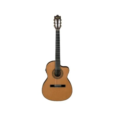 Ibanez Ga5tce-Am - Изображение 1 из 4