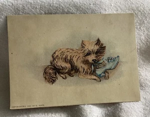 Vintage Victorian trade card dog puppy Cairn Terrier 1882 antique Ephemera Kahn - Picture 1 of 3