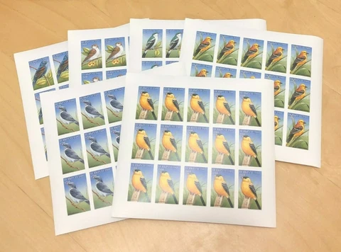 Burkina Faso 1998 - Birds Set of 6 values- Scott #1098-03 - IMPERF sheets - MNH Cover