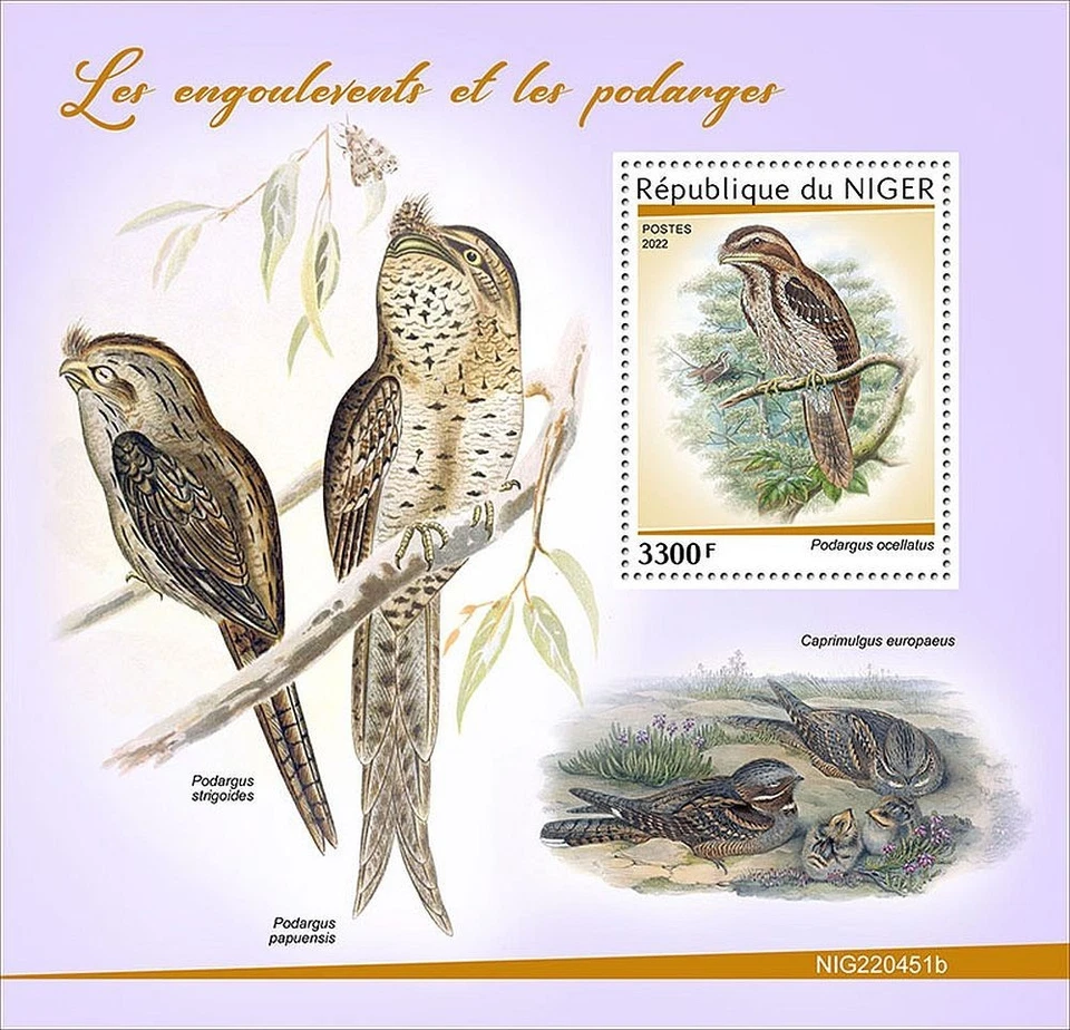 NIGHTJARS Nocturnal Birds/Bird MNH 1v-Sello Hoja #2726 (2022 Níger) Foto 1 de 1