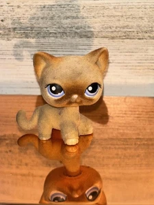 Littlest Pet Shop Kurzhaar beflockte Katze Kätzchen #318 Sammlerstück authentische Figur - Bild 1 von 7