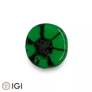 IGI Certificato MUZO Trapiche Smeraldo 1,31 Ct. OVALE Libero VERDE ROYAL - Foto 1 di 5