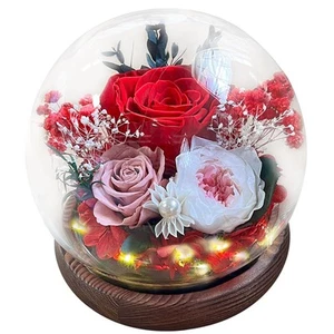 Preserved Flowers Glass Dome LED - Eternal Rose That Last Over 1 Year Gift fo... - Picture 1 of 8