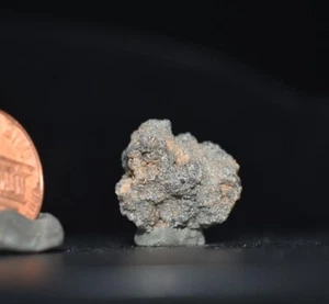 Fulgurita Rayo Petrificado Lecatelierita Fulguritas Arena Fundida Sahara   - Imagen 1 de 6