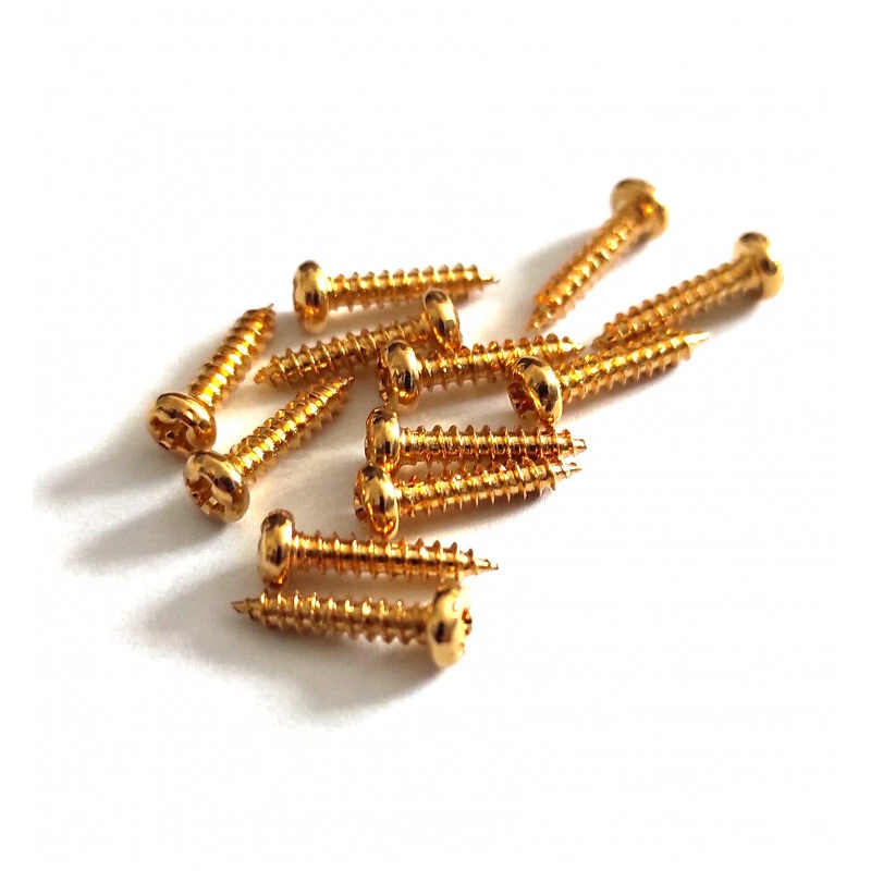 ADPGUITARPARTS 12 Vis Gold standard 2,1 mm x 10 mm pour mécaniques pour guitare éléctrique