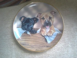 "Double Trouble" Teller zwei Yorkshire Bullterrier, Hunde. - Bild 1 von 5