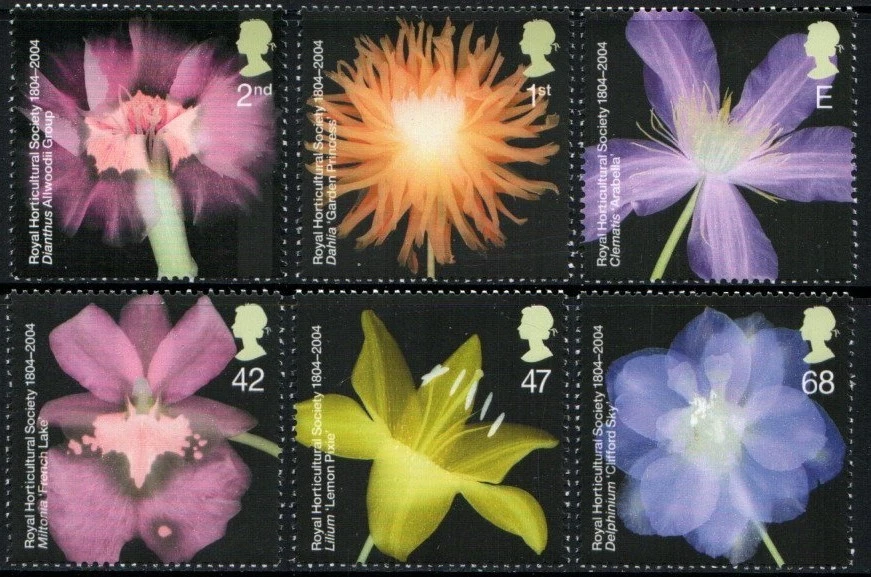 Great Britain Stamp 2209-2214  - Flowers - Image 1 of 1