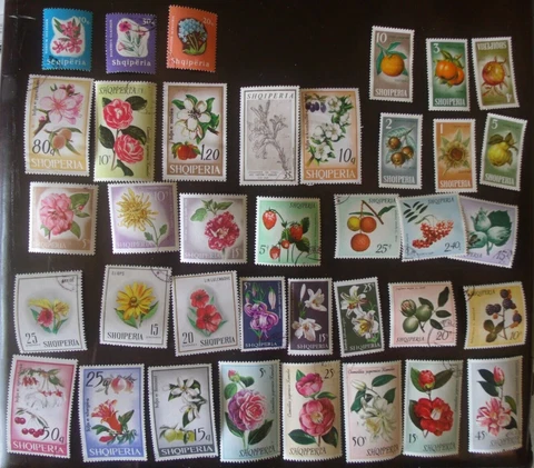 37 Albania Flowers stamps  Lot#177 Cover