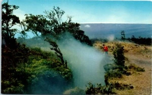 Lot of 3 HI Postcard Pele's Paint Pot Volcano House Steam Hawaii National Park - Picture 1 of 6