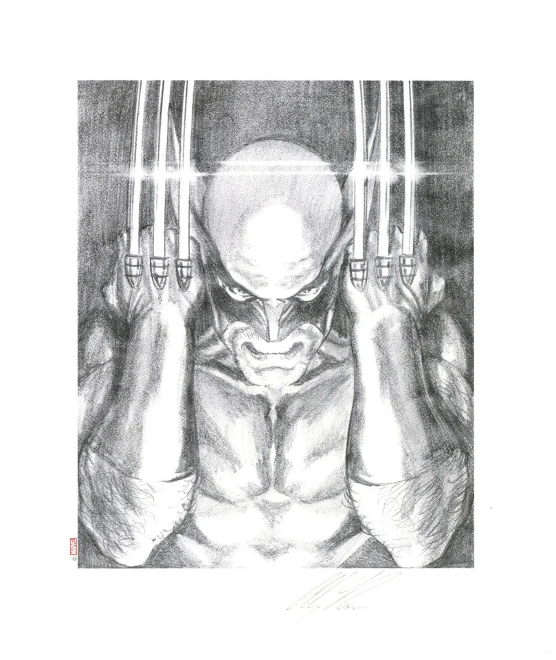 Giclee de papel firmado por Alex Ross Wolverine Visions Foto 1 de 1