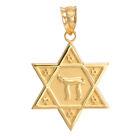 10K Solid Gold Star of David Chai Pendant Necklace
