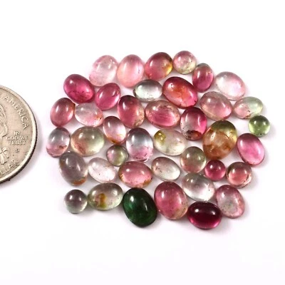 Lote de Cabujón Suave 49.95 CTS Forma Mezcla Turmalina Sandía Foto 1 de 3