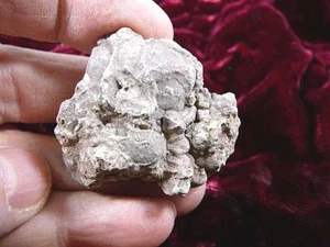 PP502-8) 1,1 oz echtes fossiles Krokodil Krokodil POOP doo doo Trias Exemplar AZ - Bild 1 von 1