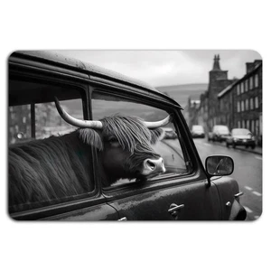 Stilvolle Highlandkuh: Anhänger am Straßenrand in Schwarz & Weiß - Bild 1 von 1