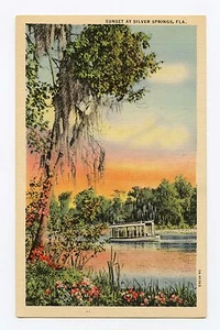 Cartolina di lino a colori Sunset at Silver Springs, Florida - Foto 1 di 2