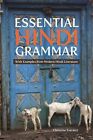 Essential Hindi Grammar: With Examples from Modern Hindi Literature