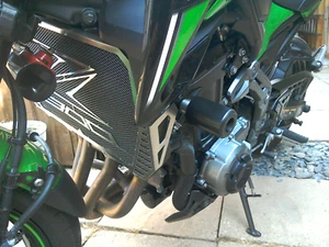 Kawasaki Z900 2017-2024 Rahmen Crash Sturzpad Oggys Griffe Beläge Sparer Neu - Picture 1 of 10