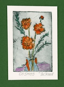 COSMOS Garden Flowers. Original Botanical Watercolor ETCHING signed - Picture 1 of 1