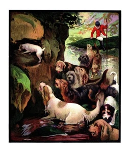 Antigua impresión de Otterhound 1910 Edwin Noble Otterhound arte ilustración 6419f - Imagen 1 de 2