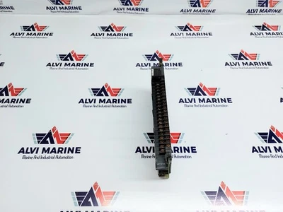 Módulo De Entrada Verdadera Baja Allen-Bradley 1771-IVN/C 10-30 VDC - Imagen 1 de 4