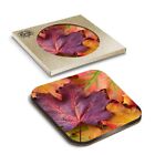 1 x Boxed Square Coasters - Autumn Leaves Maple Tree  #14314