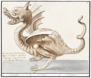 11906.Decoration Poster.Room Home office Wall decor.Nature art.Dragon drawing - Picture 1 of 1