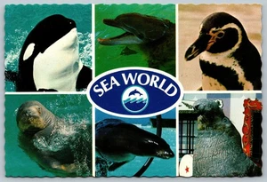 Postcard San Diego California Sea World Multiview 4x6 Continental N6 - Picture 1 of 2