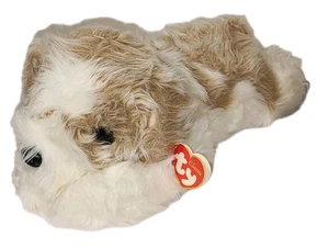 CT* Ty Classic Plush - PERKINS the Dog (12 Inch) MWCT Stuffed Animal Toy - Picture 1 of 13