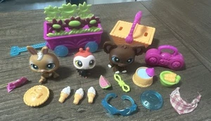 Littlest Pet Shop Picnic Time 219 220 221 Chihuahua Marienkäfer Häschen Zubehör - Bild 1 von 4