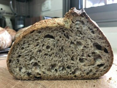 San Francisco Live SOURDOUGH STARTER colección reliquia muelle orgánico bonanza Foto 1 de 4