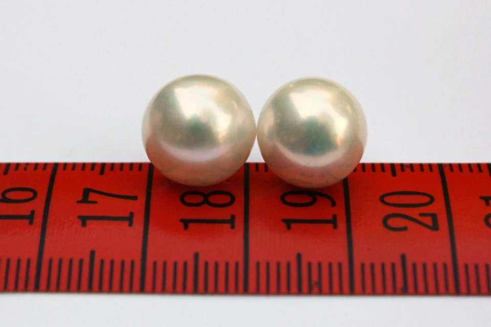 11-12mm blanco de Crianza Agua Dulce Perlas Joya Pendientes de botón Plata 925AA - Imagen 1 de 1