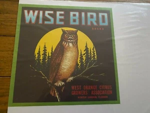 Vintage Unused Wise Bird West Orange Citrus Growers Winter Garden Florida Label - Picture 1 of 1