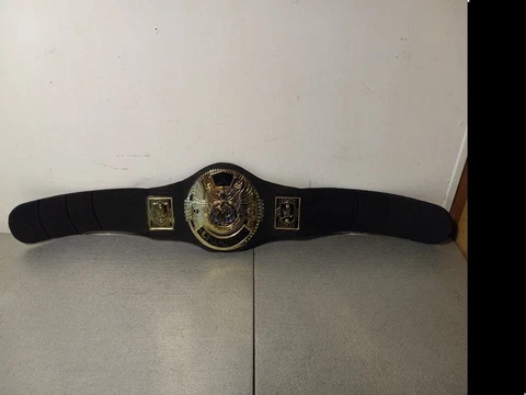 2006 Jakks WWE Foam Belt World Wrestling Entertainment Champion Toy Cover
