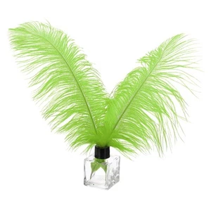 30 Pcs 12-14 Inch/ 30-35 Cm Natural Ostrich Feathers Bulk (Green) - Picture 1 of 7