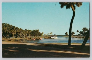 Myakka River State Park Boat Dock Sarasota Florida Postcard - Picture 1 of 2
